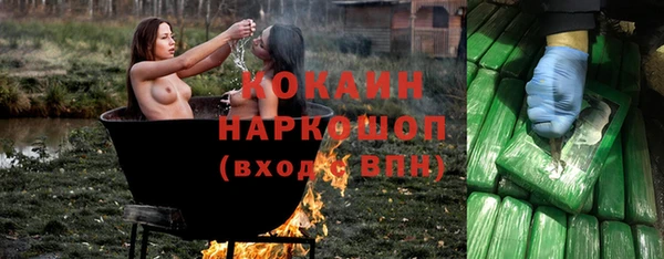 твердый Богородск