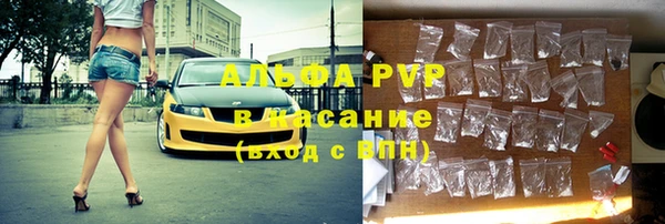 первитин Богданович