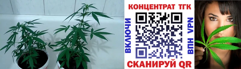 Купить где  Вышний Волочёк  ТГК концентрат 