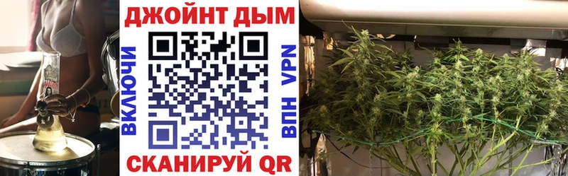 МАРИХУАНА план Купить где Вышний Волочёк